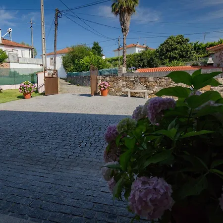 Suite Em Viana Do Castelo Exterior photo